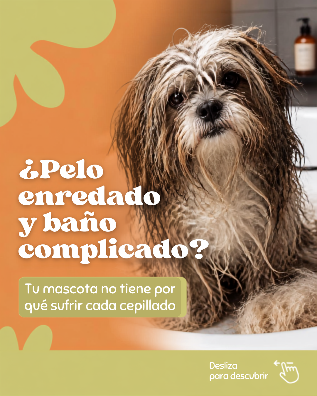 CEPILLO SECADORA A VAPOR