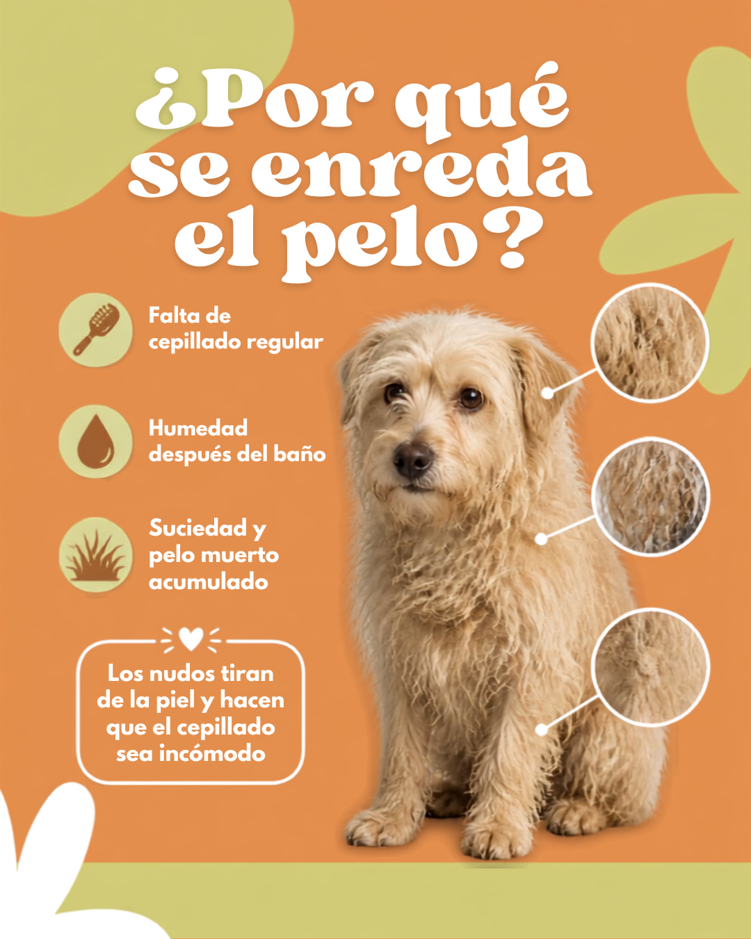 CEPILLO SECADORA A VAPOR