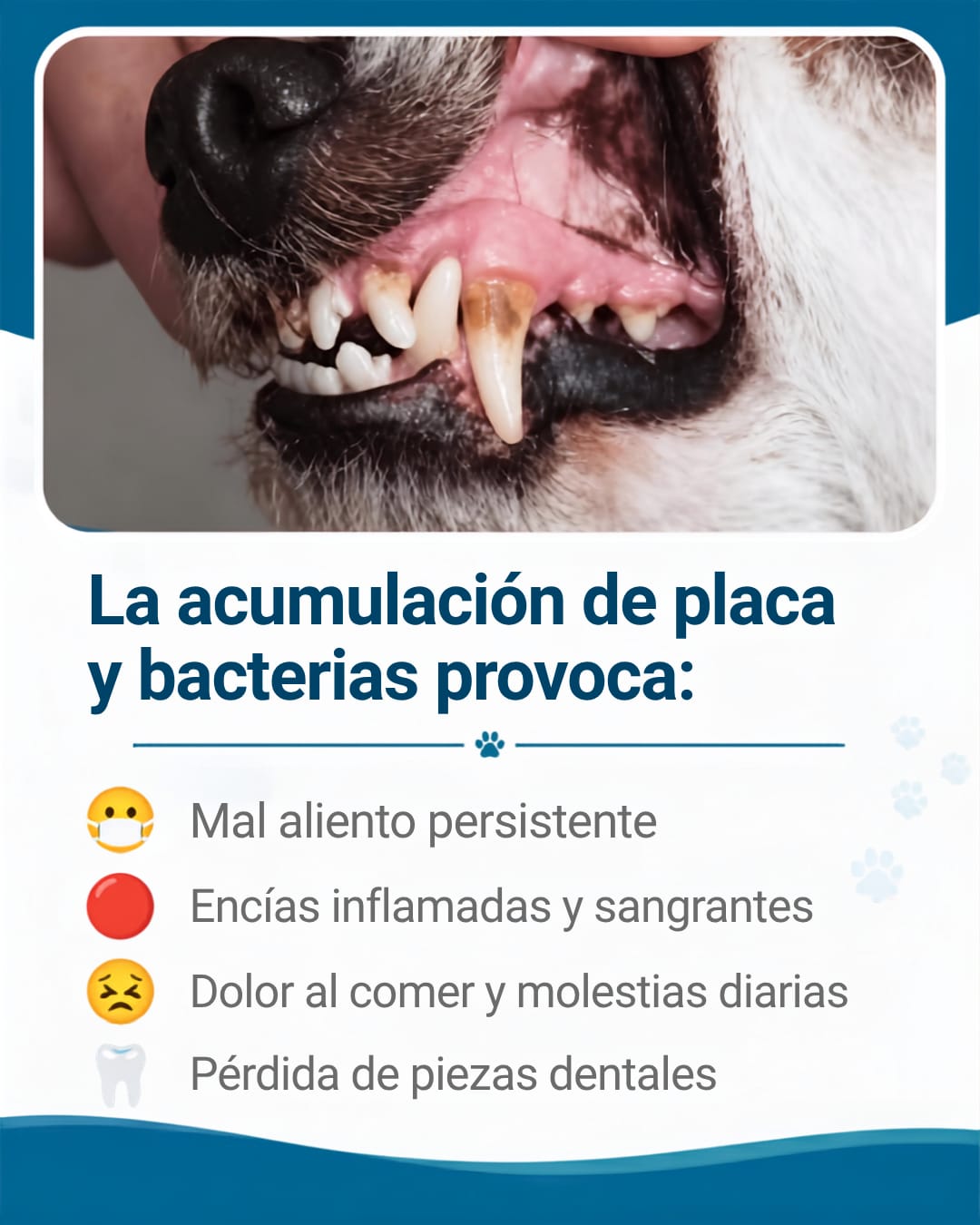HUESO LIMPIA DIENTES PARA TÚ MASCOTA