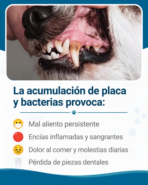 HUESO LIMPIA DIENTES PARA TÚ MASCOTA