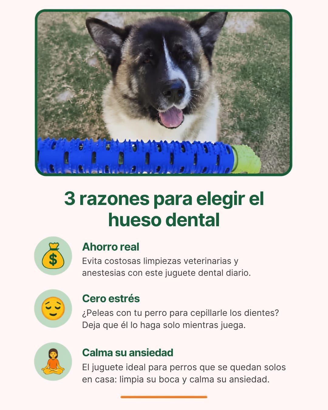HUESO LIMPIA DIENTES PARA TÚ MASCOTA
